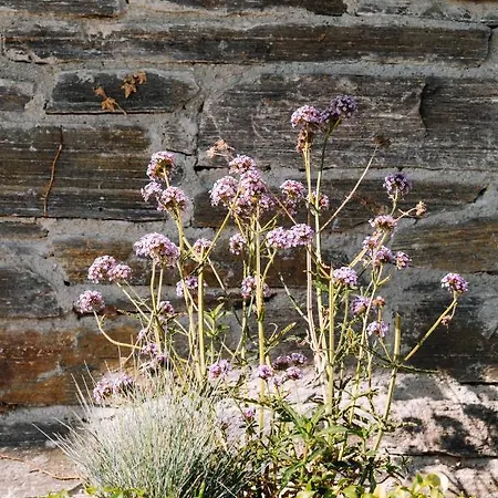 Schilcherlandleben - Weingartenhaus Sankt Stefan ob Stainz