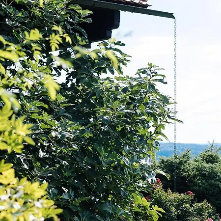 Schilcherlandleben - Weingartenhaus *