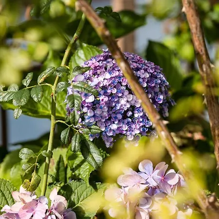 Schilcherlandleben - Weingartenhaus *