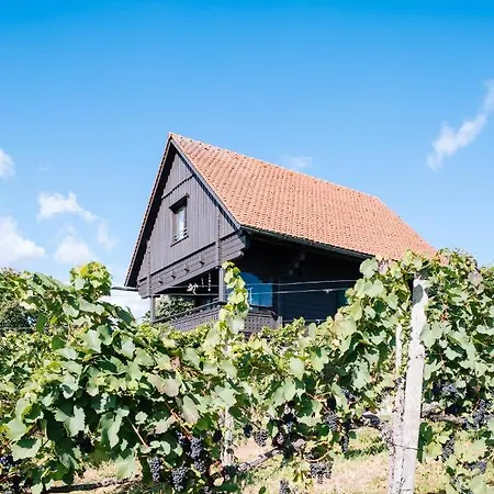 Chalet Schilcherlandleben - Weingartenhaus Sankt Stefan ob Stainz