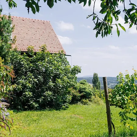 Chalet Schilcherlandleben - Weingartenhaus *