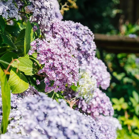 Alpehytte Schilcherlandleben - Weingartenhaus
