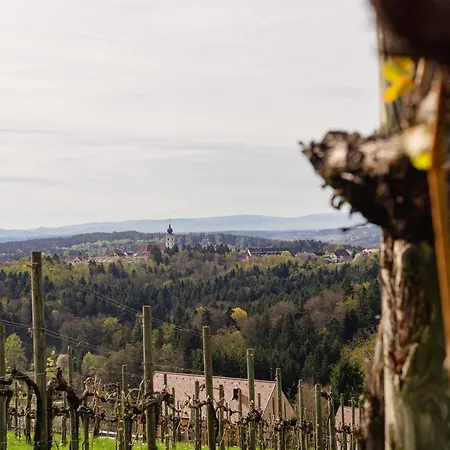 Schilcherlandleben - Weingartenhaus Sankt Stefan ob Stainz