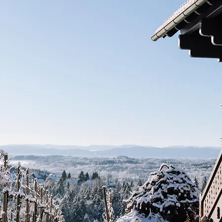 Alpehytte Schilcherlandleben - Weingartenhaus
