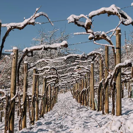 Alpehytte Schilcherlandleben - Weingartenhaus Sankt Stefan ob Stainz