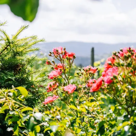 Schilcherlandleben - Weingartenhaus Sankt Stefan ob Stainz