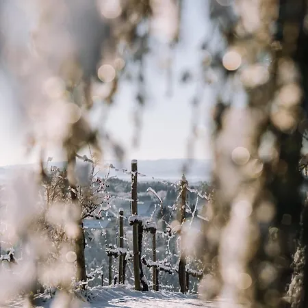 Schilcherlandleben - Weingartenhaus *