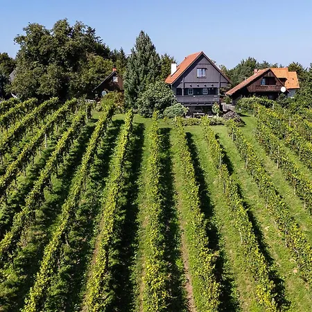 Schilcherlandleben - Weingartenhaus Chalet