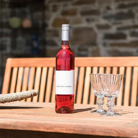 Alpehytte Schilcherlandleben - Weingartenhaus *