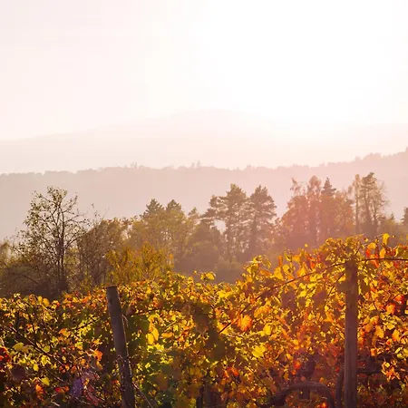 Schilcherlandleben - Weingartenhaus Alpehytte *