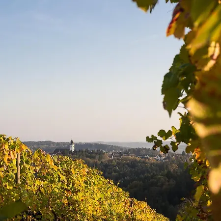 Schilcherlandleben - Weingartenhaus * Sankt Stefan ob Stainz