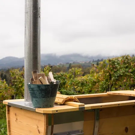 Schilcherlandleben - Weingartenhaus Alpehytte Sankt Stefan ob Stainz