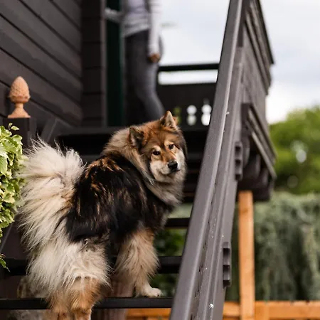 Schilcherlandleben - Weingartenhaus * Sankt Stefan ob Stainz