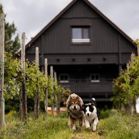 Schilcherlandleben - Weingartenhaus Horská chata