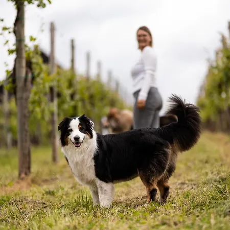 Alpehytte Schilcherlandleben - Weingartenhaus