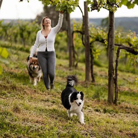 Alpehytte Schilcherlandleben - Weingartenhaus *