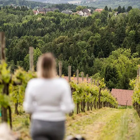 Schilcherlandleben - Weingartenhaus Alpehytte Sankt Stefan ob Stainz