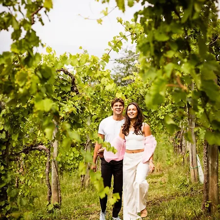 Schilcherlandleben - Weingartenhaus Chalet *