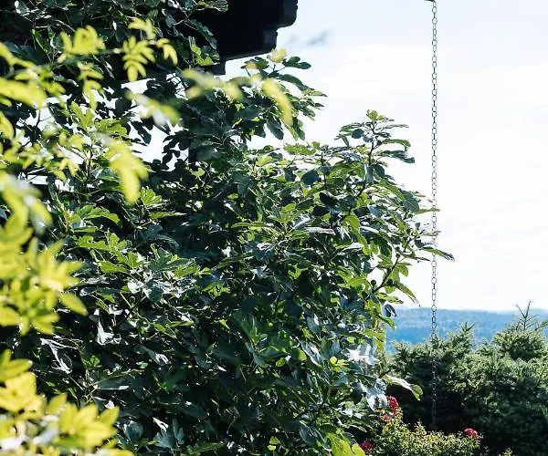 Schilcherlandleben - Weingartenhaus *