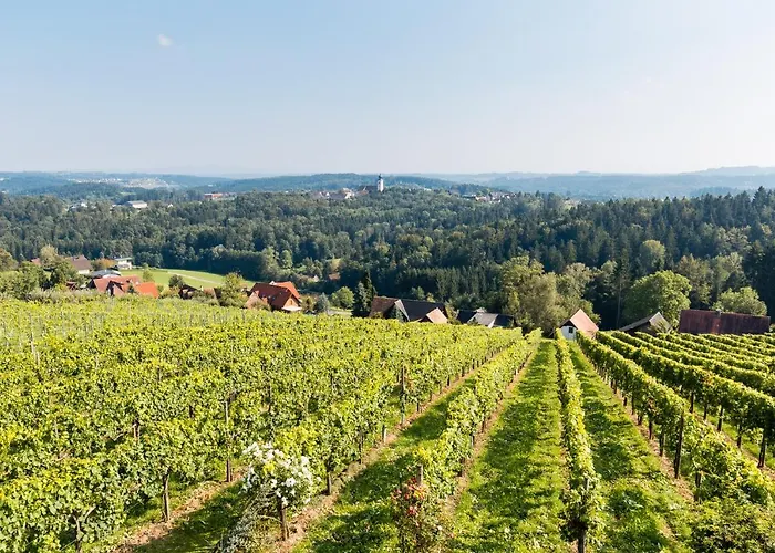 Schilcherlandleben - Weingartenhaus Chalet *