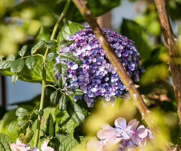 Schilcherlandleben - Weingartenhaus *