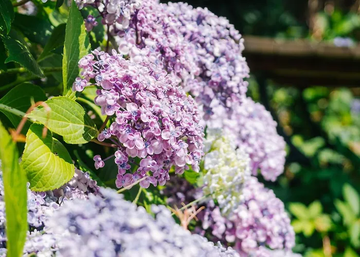 Chalet Schilcherlandleben - Weingartenhaus