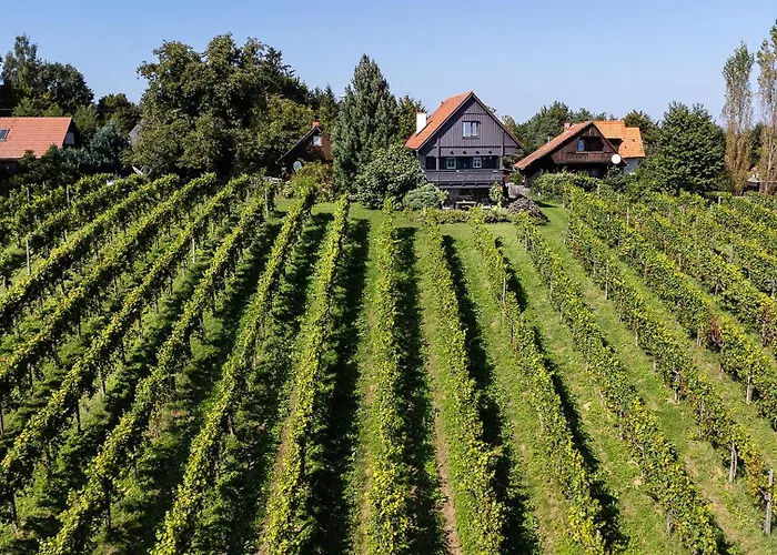 Schilcherlandleben - Weingartenhaus Chalet