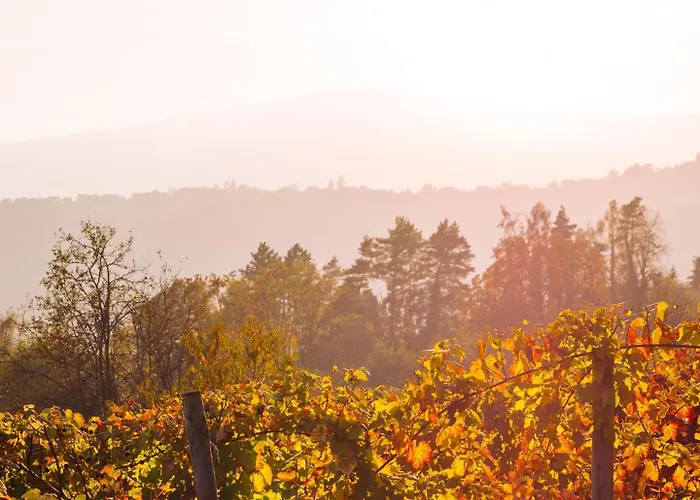 Schilcherlandleben - Weingartenhaus 샬레 *