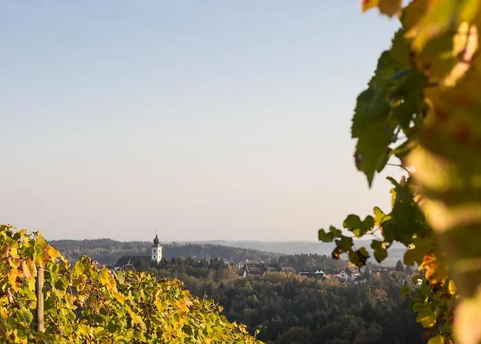 Schilcherlandleben - Weingartenhaus * Sankt Stefan ob Stainz