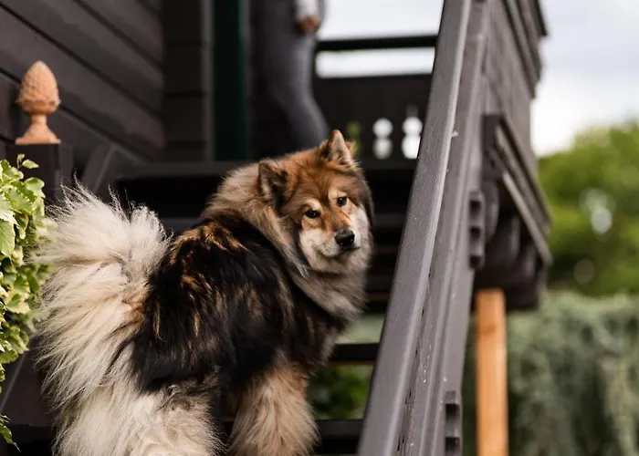 Schilcherlandleben - Weingartenhaus * Sankt Stefan ob Stainz