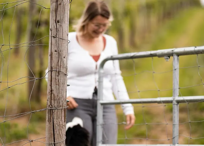 Schilcherlandleben - Weingartenhaus Chalet *