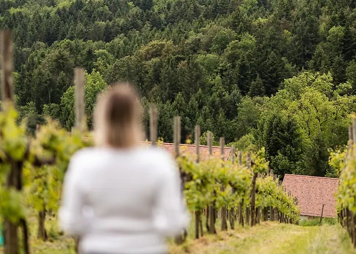 Schilcherlandleben - Weingartenhaus Chalet Sankt Stefan ob Stainz